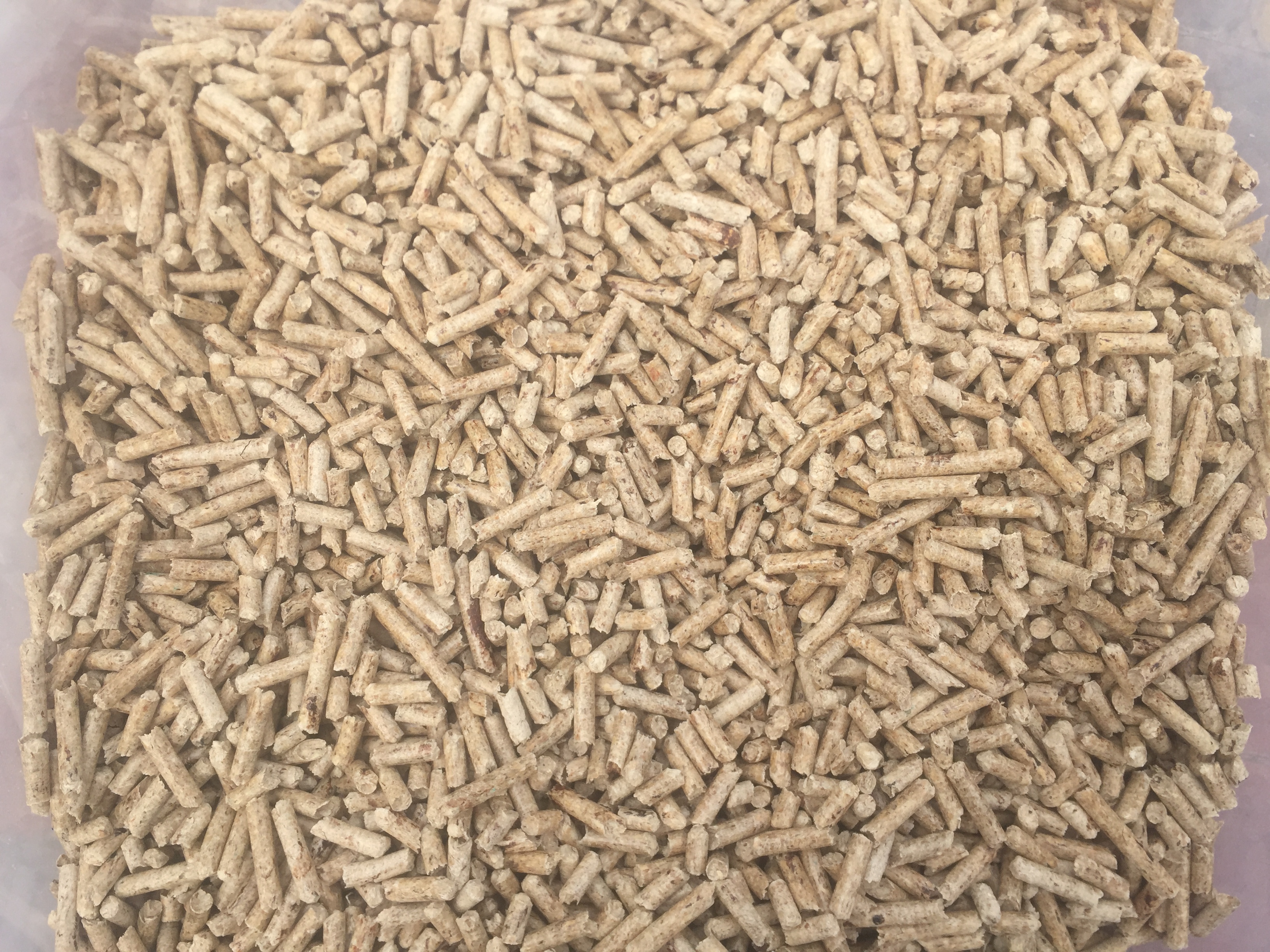 Softwood pellets